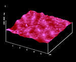 AFM Image