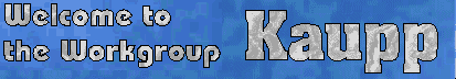 Welcome at the Workgroup Kaupp